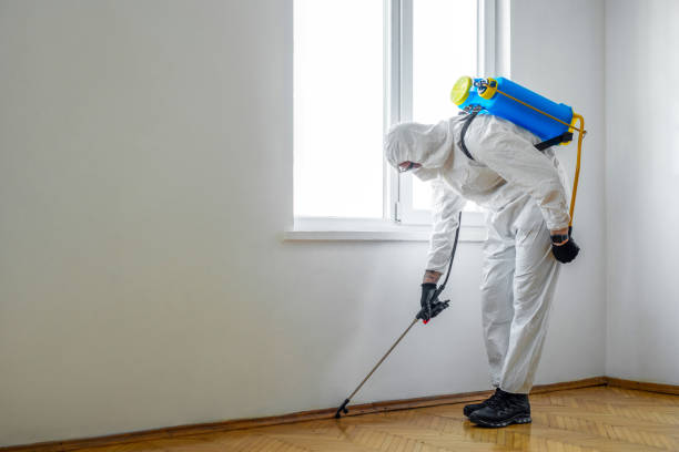 Emergency Pest Control in Jourdanton, TX